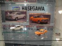 Hasegawa_10.jpg