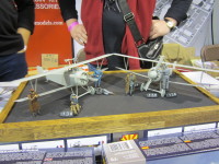 Telford2018_CSM_Ni17_03