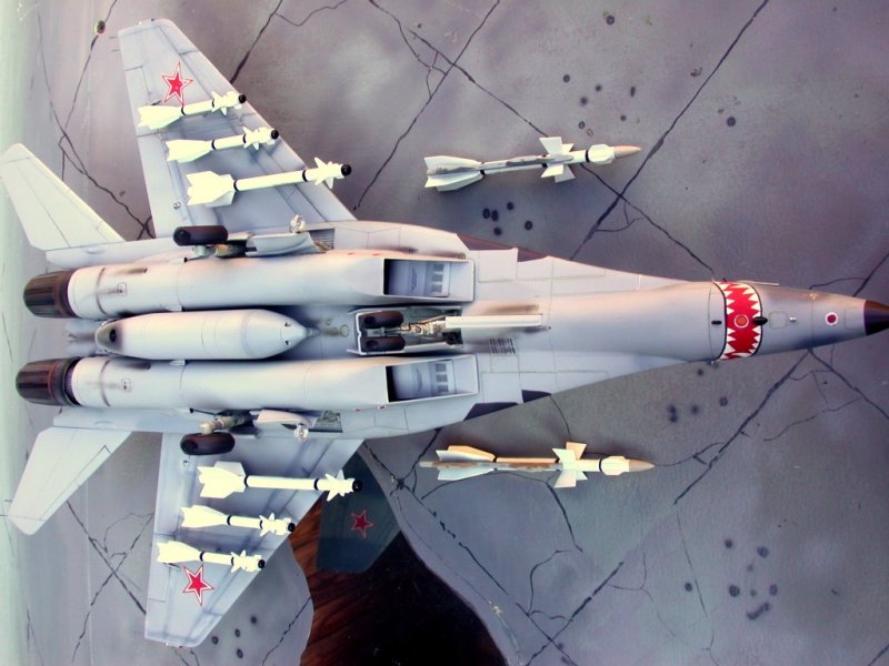 Revell_MiG-29UB_03